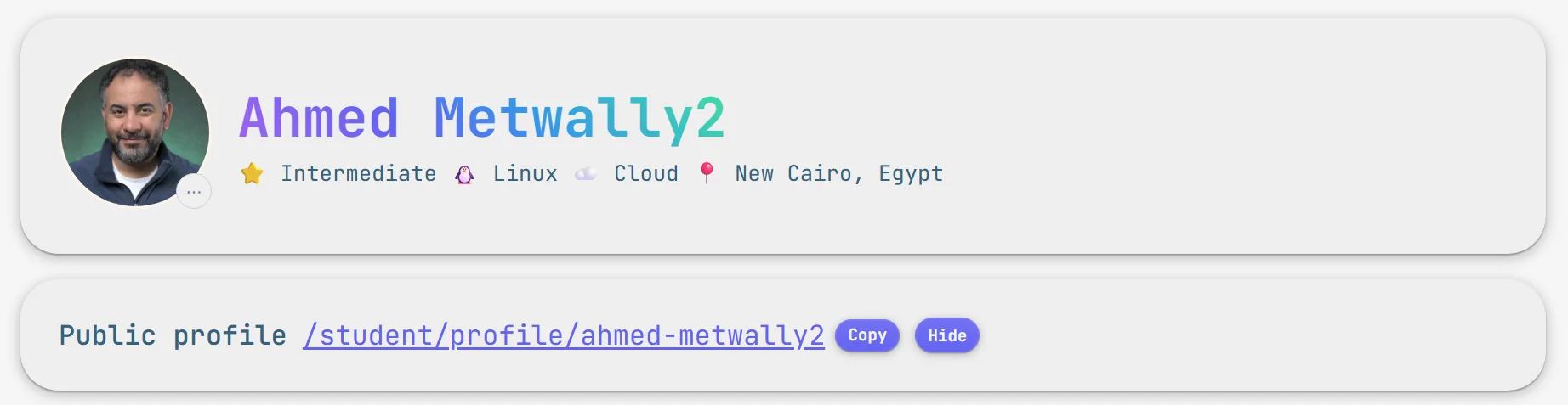 رابط الملف العام مع زري النسخ والإخفاء